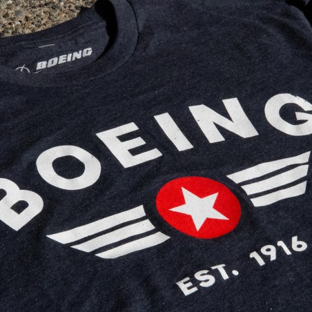 Boeing Established Wings...