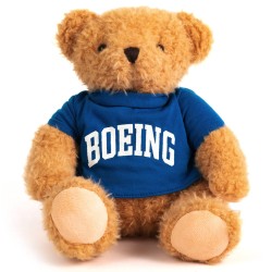 Boeing Varsity Bear