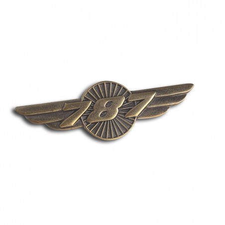 Boeing 787 Dreamliner Wings