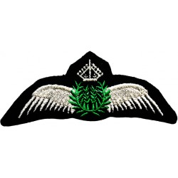 Emblema brodata Civil Pilot...